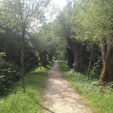 Ein-steinwurf-zum-ostseestrand-ferienwohnung-martha-mit-terrasse Апартаменты *