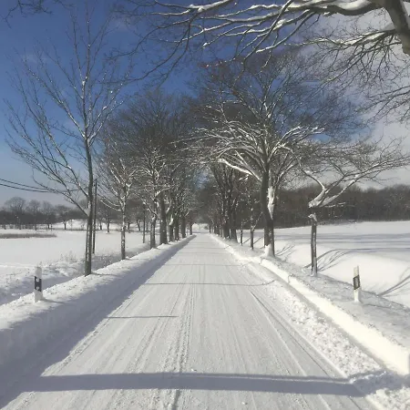 Ein-steinwurf-zum-ostseestrand-ferienwohnung-martha-mit-terrasse Апартаменты *