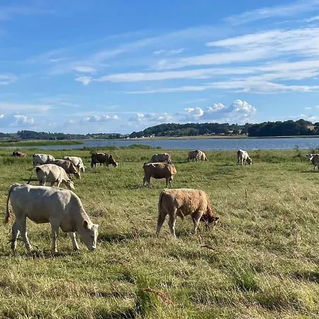 Апартаменты Ein-steinwurf-zum-ostseestrand-ferienwohnung-martha-mit-terrasse Глове