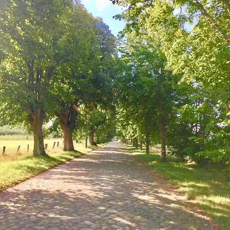 Апартаменты Ein-steinwurf-zum-ostseestrand-ferienwohnung-martha-mit-terrasse *