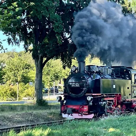 Ein-steinwurf-zum-ostseestrand-ferienwohnung-martha-mit-terrasse * Глове