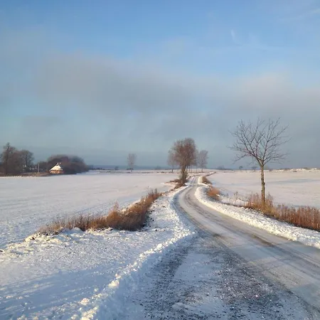 Апартаменты Ein-steinwurf-zum-ostseestrand-ferienwohnung-martha-mit-terrasse *
