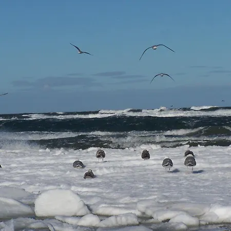 Ein-steinwurf-zum-ostseestrand-ferienwohnung-martha-mit-terrasse Апартаменты Глове