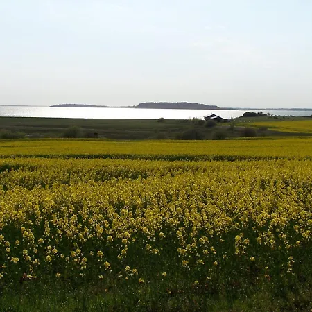 Ein-steinwurf-zum-ostseestrand-ferienwohnung-martha-mit-terrasse * Глове