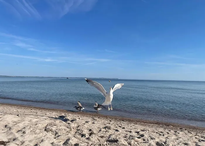 Ein Steinwurf Zum Ostseestrand: Martha Mit Terrasse Glowe